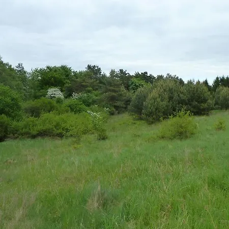 Am Küstrinsee Bei Ferienhaus Lychen