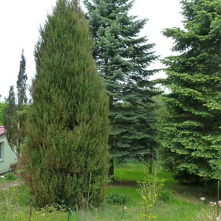 Ferienhaus Am Küstrinsee Bei Lychen