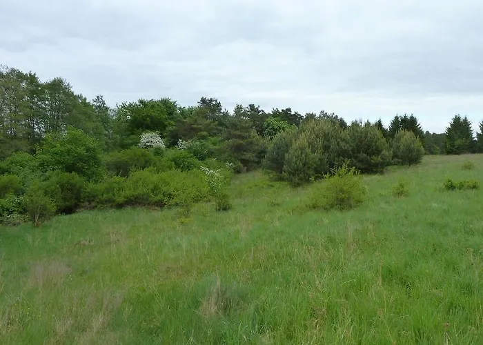 Am Kuestrinsee Bei بيت للعطل لوشن